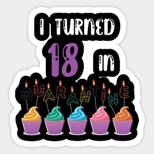 I Turned 18 In Quarantine funny birthday idea T-shirt Sticker